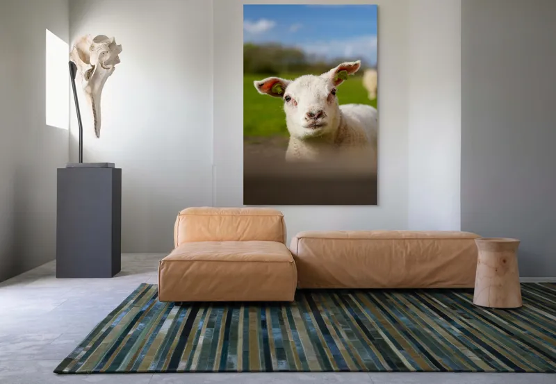 Tablou Canvas, "Miel curios sub cer senin", Blând, Curiozitate, Verdeață, Vânt, Câmpie, Cer, Urechi, Animăluț, Natură, Primăvară, 100 x 150 cm – poza 7