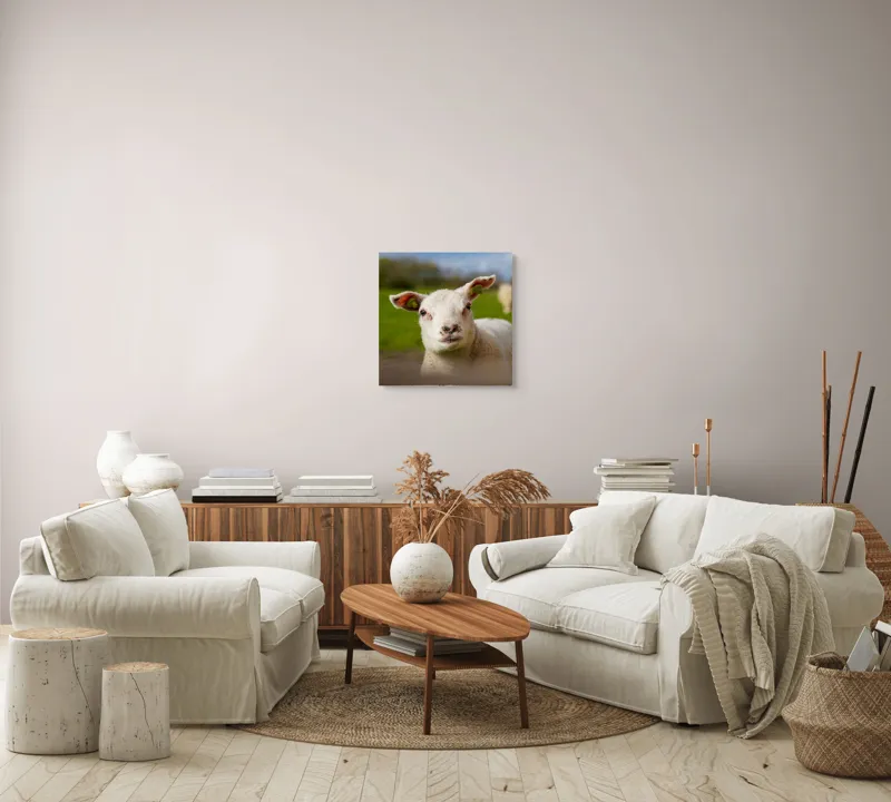 Tablou Canvas, "Miel curios sub cer senin", Blând, Curiozitate, Verdeață, Vânt, Câmpie, Cer, Urechi, Animăluț, Natură, Primăvară, 50 x 50 cm – poza 7