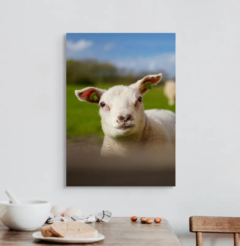 Tablou Canvas, "Miel curios sub cer senin", Blând, Curiozitate, Verdeață, Vânt, Câmpie, Cer, Urechi, Animăluț, Natură, Primăvară, 50 x 70 cm – poza 3