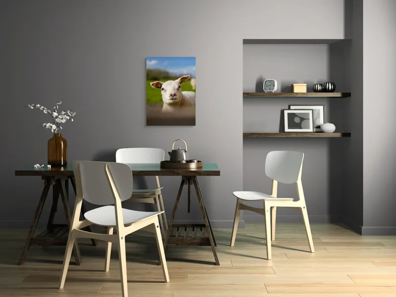 Tablou Canvas, "Miel curios sub cer senin", Blând, Curiozitate, Verdeață, Vânt, Câmpie, Cer, Urechi, Animăluț, Natură, Primăvară, 50 x 70 cm – poza 5