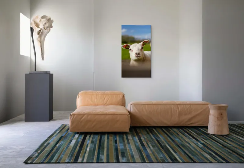 Tablou Canvas, "Miel curios sub cer senin", Blând, Curiozitate, Verdeață, Vânt, Câmpie, Cer, Urechi, Animăluț, Natură, Primăvară, 50 x 90 cm – poza 5