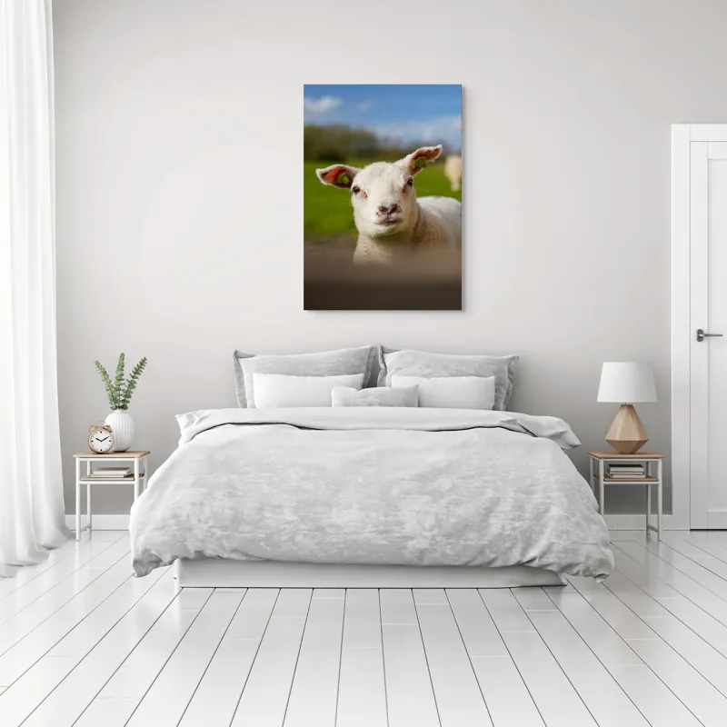 Tablou Canvas, "Miel curios sub cer senin", Blând, Curiozitate, Verdeață, Vânt, Câmpie, Cer, Urechi, Animăluț, Natură, Primăvară, 70 x 100 cm – poza 3