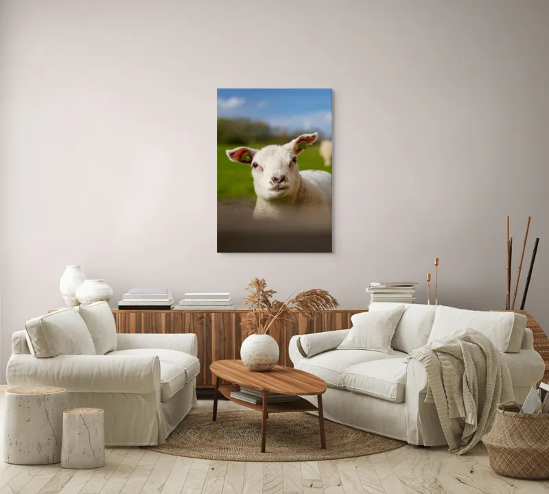 Tablou Canvas, "Miel curios sub cer senin", Blând, Curiozitate, Verdeață, Vânt, Câmpie, Cer, Urechi, Animăluț, Natură, Primăvară, 70 x 100 cm – poza 4