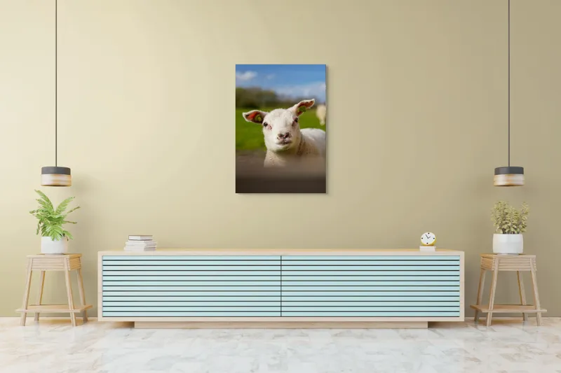 Tablou Canvas, "Miel curios sub cer senin", Blând, Curiozitate, Verdeață, Vânt, Câmpie, Cer, Urechi, Animăluț, Natură, Primăvară, 70 x 100 cm – poza 5