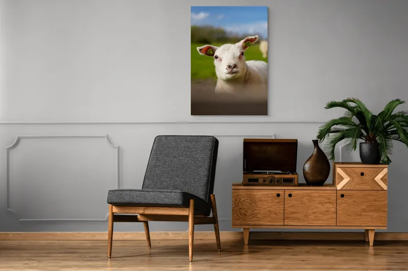 Tablou Canvas, "Miel curios sub cer senin", Blând, Curiozitate, Verdeață, Vânt, Câmpie, Cer, Urechi, Animăluț, Natură, Primăvară, 70 x 100 cm – poza 6