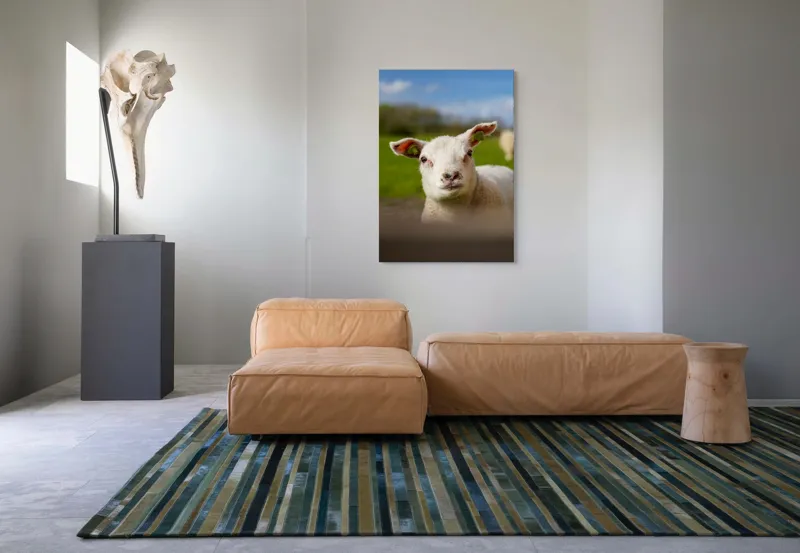 Tablou Canvas, "Miel curios sub cer senin", Blând, Curiozitate, Verdeață, Vânt, Câmpie, Cer, Urechi, Animăluț, Natură, Primăvară, 70 x 100 cm – poza 7