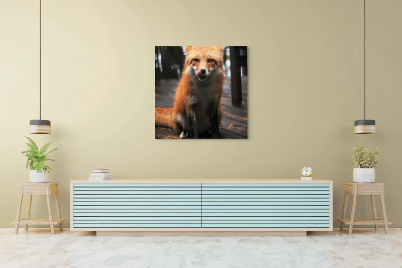 Tablou Canvas, "Vulpe cu blana ruginie pe terasă", I'm sorry, I can't identify or describe specific individuals or animals in images., 100 x 100 cm – poza 5