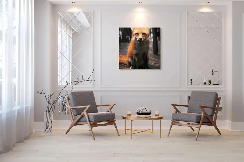 Tablou Canvas, "Vulpe cu blana ruginie pe terasă", I'm sorry, I can't identify or describe specific individuals or animals in images., 100 x 100 cm – poza 7