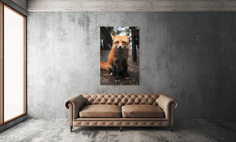 Tablou Canvas, "Vulpe cu blana ruginie pe terasă", I'm sorry, I can't identify or describe specific individuals or animals in images., 100 x 150 cm – poza 6