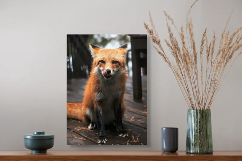 Tablou Canvas, "Vulpe cu blana ruginie pe terasă", I'm sorry, I can't identify or describe specific individuals or animals in images., 39 x 54 cm – poza 3