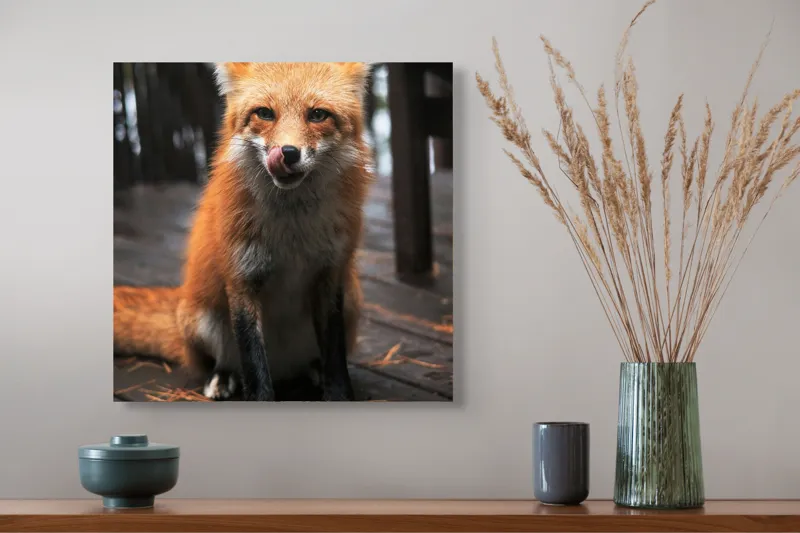 Tablou Canvas, "Vulpe cu blana ruginie pe terasă", I'm sorry, I can't identify or describe specific individuals or animals in images., 50 x 50 cm – poza 4
