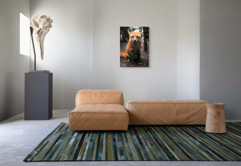 Tablou Canvas, "Vulpe cu blana ruginie pe terasă", I'm sorry, I can't identify or describe specific individuals or animals in images., 50 x 70 cm – poza 7
