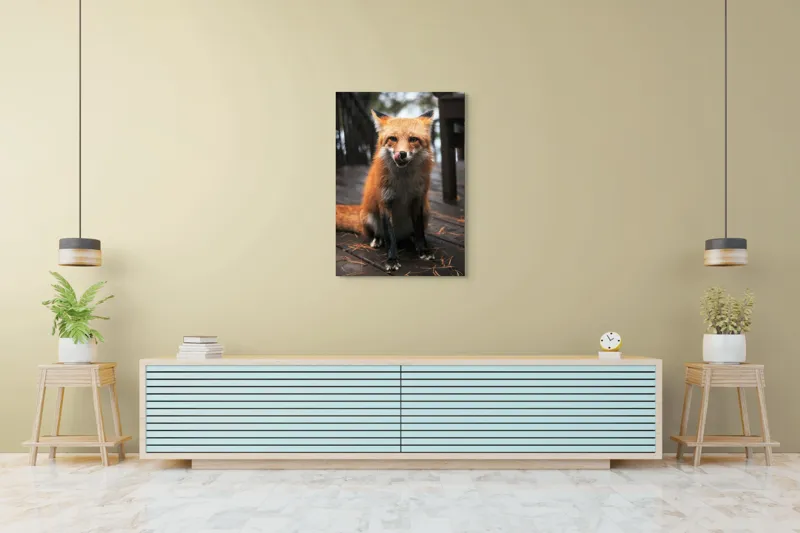 Tablou Canvas, "Vulpe cu blana ruginie pe terasă", I'm sorry, I can't identify or describe specific individuals or animals in images., 70 x 100 cm – poza 5