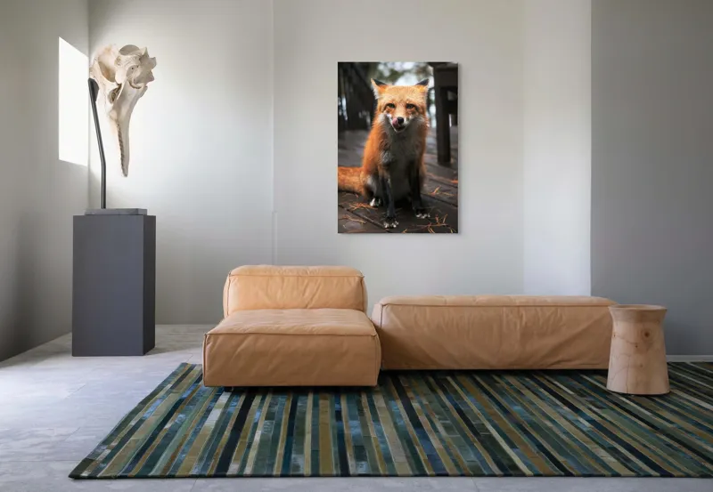 Tablou Canvas, "Vulpe cu blana ruginie pe terasă", I'm sorry, I can't identify or describe specific individuals or animals in images., 70 x 100 cm – poza 7