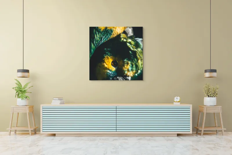 Tablou Canvas, "Îmbrățișarea misterioasă a papagalilor vibranți", Colorat, Plumaj, Contrast, Ochii, Frumos, Dinamic, Natural, Împerechere, 100 x 100 cm – poza 5