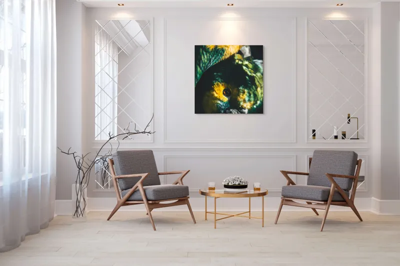 Tablou Canvas, "Îmbrățișarea misterioasă a papagalilor vibranți", Colorat, Plumaj, Contrast, Ochii, Frumos, Dinamic, Natural, Împerechere, 100 x 100 cm – poza 7