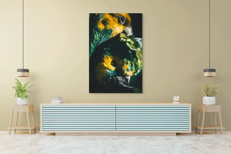 Tablou Canvas, "Îmbrățișarea misterioasă a papagalilor vibranți", Colorat, Plumaj, Contrast, Ochii, Frumos, Dinamic, Natural, Împerechere, 100 x 150 cm – poza 4