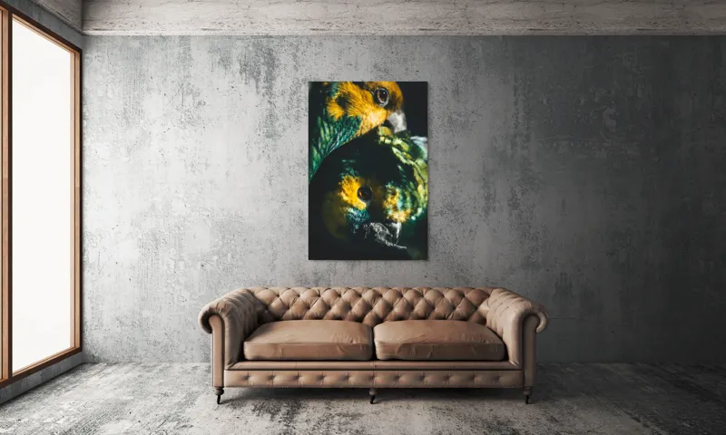 Tablou Canvas, "Îmbrățișarea misterioasă a papagalilor vibranți", Colorat, Plumaj, Contrast, Ochii, Frumos, Dinamic, Natural, Împerechere, 100 x 150 cm – poza 6