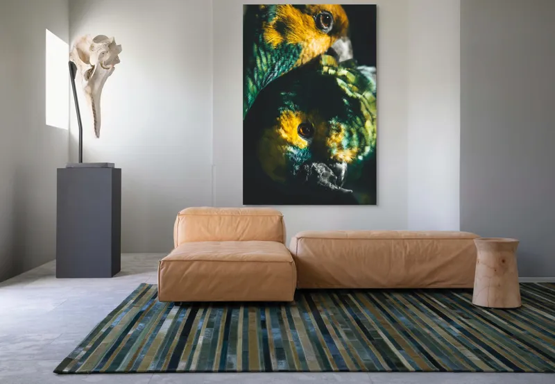 Tablou Canvas, "Îmbrățișarea misterioasă a papagalilor vibranți", Colorat, Plumaj, Contrast, Ochii, Frumos, Dinamic, Natural, Împerechere, 100 x 150 cm – poza 7
