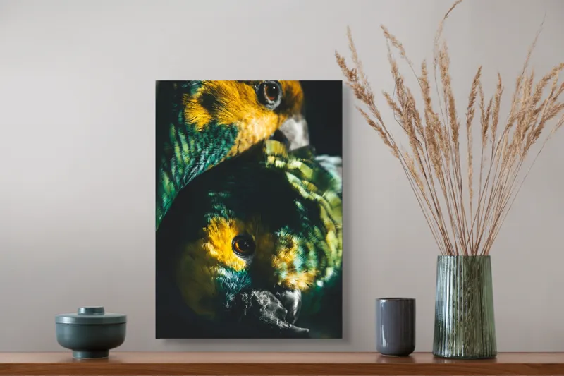 Tablou Canvas, "Îmbrățișarea misterioasă a papagalilor vibranți", Colorat, Plumaj, Contrast, Ochii, Frumos, Dinamic, Natural, Împerechere, 39 x 54 cm – poza 3
