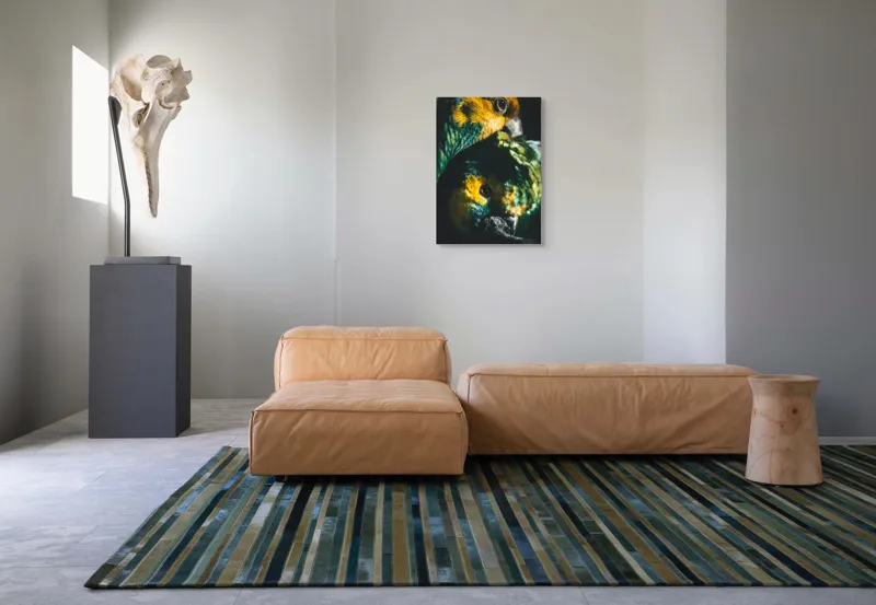 Tablou Canvas, "Îmbrățișarea misterioasă a papagalilor vibranți", Colorat, Plumaj, Contrast, Ochii, Frumos, Dinamic, Natural, Împerechere, 50 x 70 cm – poza 7