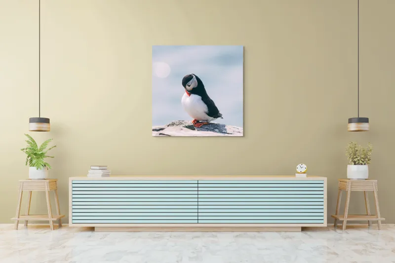 Tablou Canvas, "Un pinguin pe o stâncă rece", Pinguin, Ocean, Rocă, Calm, Lumină, Pene, Colorat, Contemplativ, Natură, Frumusețe, 100 x 100 cm – poza 5