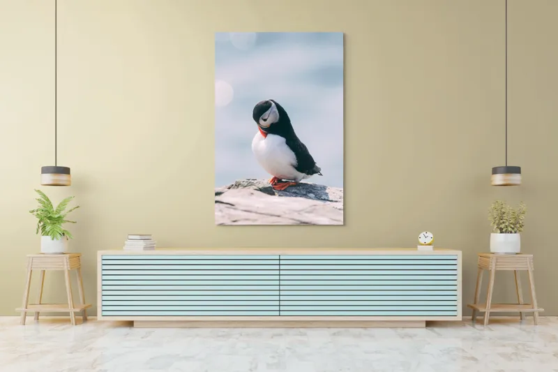 Tablou Canvas, "Un pinguin pe o stâncă rece", Pinguin, Ocean, Rocă, Calm, Lumină, Pene, Colorat, Contemplativ, Natură, Frumusețe, 100 x 150 cm – poza 4