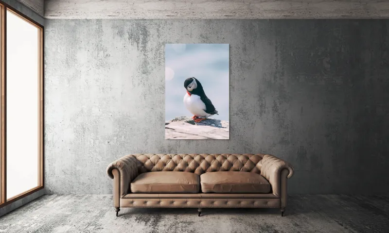 Tablou Canvas, "Un pinguin pe o stâncă rece", Pinguin, Ocean, Rocă, Calm, Lumină, Pene, Colorat, Contemplativ, Natură, Frumusețe, 100 x 150 cm – poza 6