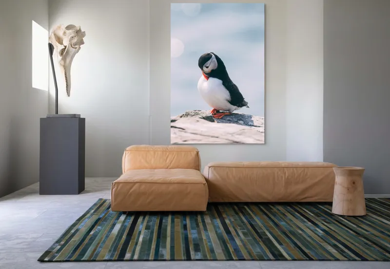 Tablou Canvas, "Un pinguin pe o stâncă rece", Pinguin, Ocean, Rocă, Calm, Lumină, Pene, Colorat, Contemplativ, Natură, Frumusețe, 100 x 150 cm – poza 7
