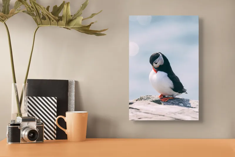 Tablou Canvas, "Un pinguin pe o stâncă rece", Pinguin, Ocean, Rocă, Calm, Lumină, Pene, Colorat, Contemplativ, Natură, Frumusețe, 26 x 39 cm – poza 3