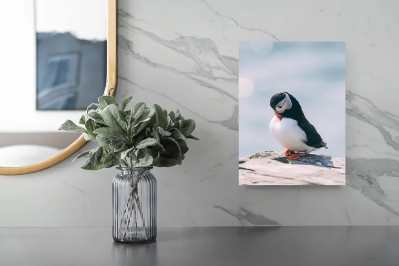 Tablou Canvas, "Un pinguin pe o stâncă rece", Pinguin, Ocean, Rocă, Calm, Lumină, Pene, Colorat, Contemplativ, Natură, Frumusețe, 26 x 39 cm – poza 4