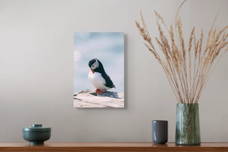 Tablou Canvas, "Un pinguin pe o stâncă rece", Pinguin, Ocean, Rocă, Calm, Lumină, Pene, Colorat, Contemplativ, Natură, Frumusețe, 26 x 39 cm – poza 5