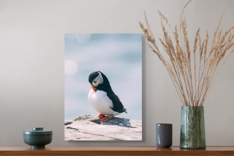 Tablou Canvas, "Un pinguin pe o stâncă rece", Pinguin, Ocean, Rocă, Calm, Lumină, Pene, Colorat, Contemplativ, Natură, Frumusețe, 39 x 54 cm – poza 3