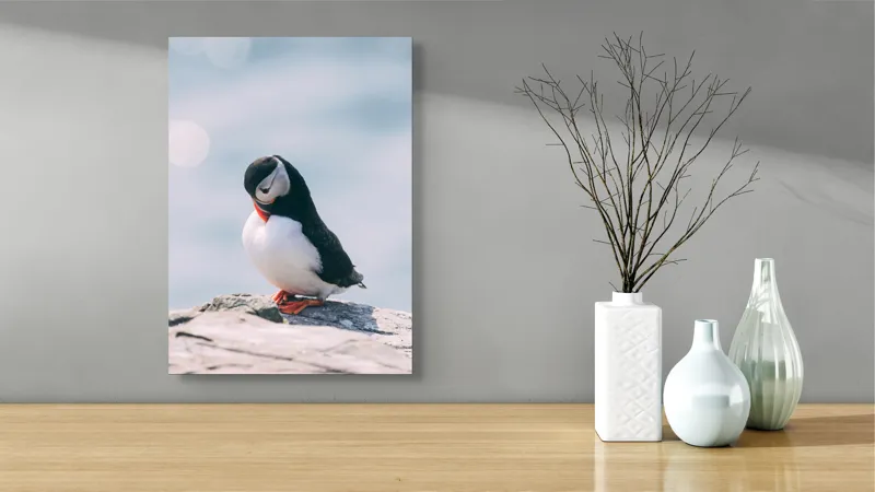 Tablou Canvas, "Un pinguin pe o stâncă rece", Pinguin, Ocean, Rocă, Calm, Lumină, Pene, Colorat, Contemplativ, Natură, Frumusețe, 39 x 54 cm – poza 4