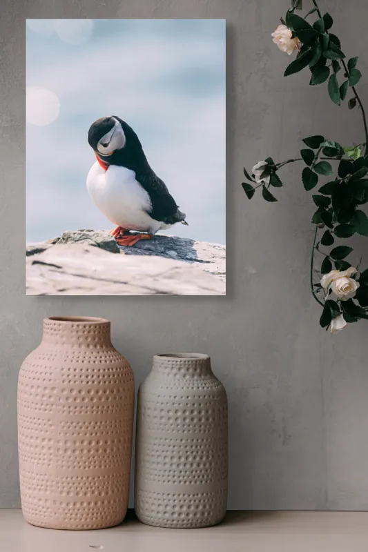Tablou Canvas, "Un pinguin pe o stâncă rece", Pinguin, Ocean, Rocă, Calm, Lumină, Pene, Colorat, Contemplativ, Natură, Frumusețe, 39 x 54 cm – poza 6