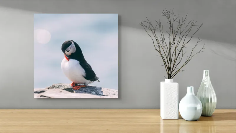 Tablou Canvas, "Un pinguin pe o stâncă rece", Pinguin, Ocean, Rocă, Calm, Lumină, Pene, Colorat, Contemplativ, Natură, Frumusețe, 50 x 50 cm – poza 3