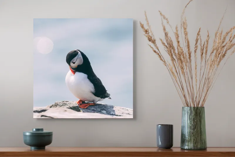 Tablou Canvas, "Un pinguin pe o stâncă rece", Pinguin, Ocean, Rocă, Calm, Lumină, Pene, Colorat, Contemplativ, Natură, Frumusețe, 50 x 50 cm – poza 4