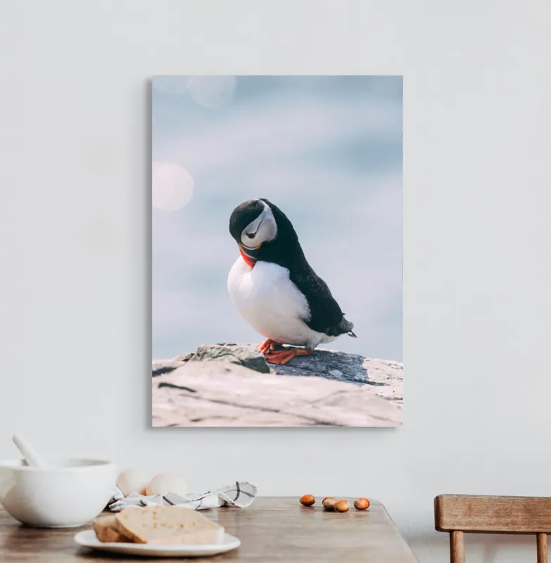 Tablou Canvas, "Un pinguin pe o stâncă rece", Pinguin, Ocean, Rocă, Calm, Lumină, Pene, Colorat, Contemplativ, Natură, Frumusețe, 50 x 70 cm – poza 3