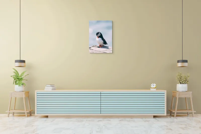 Tablou Canvas, "Un pinguin pe o stâncă rece", Pinguin, Ocean, Rocă, Calm, Lumină, Pene, Colorat, Contemplativ, Natură, Frumusețe, 50 x 70 cm – poza 6