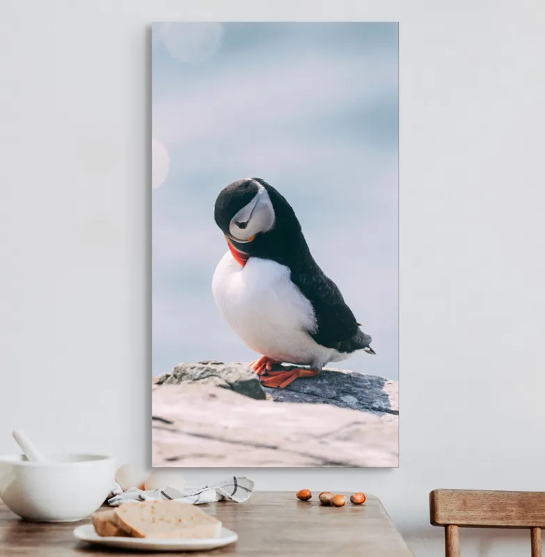Tablou Canvas, "Un pinguin pe o stâncă rece", Pinguin, Ocean, Rocă, Calm, Lumină, Pene, Colorat, Contemplativ, Natură, Frumusețe, 50 x 90 cm – poza 3