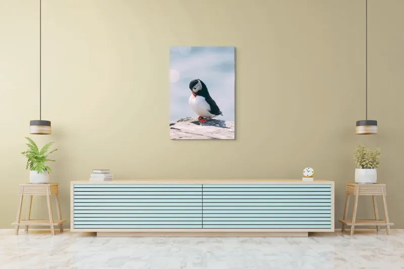 Tablou Canvas, "Un pinguin pe o stâncă rece", Pinguin, Ocean, Rocă, Calm, Lumină, Pene, Colorat, Contemplativ, Natură, Frumusețe, 70 x 100 cm – poza 5