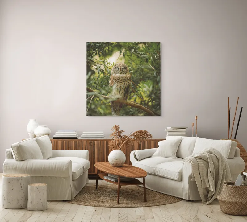 Tablou Canvas, "Bufniță în pădurea liniștită ", Bufniță, Frunziș, Somnoroasă, Crepuscul, Liniște, Natură, Ramură, Camuflaj, Pene, 100 x 100 cm – poza 3