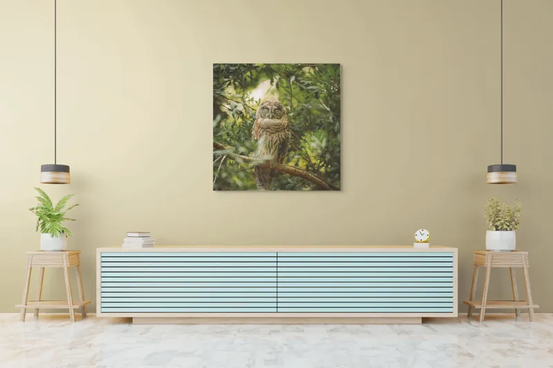 Tablou Canvas, "Bufniță în pădurea liniștită ", Bufniță, Frunziș, Somnoroasă, Crepuscul, Liniște, Natură, Ramură, Camuflaj, Pene, 100 x 100 cm – poza 5