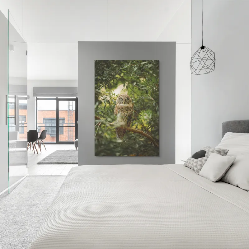 Tablou Canvas, "Bufniță în pădurea liniștită ", Bufniță, Frunziș, Somnoroasă, Crepuscul, Liniște, Natură, Ramură, Camuflaj, Pene, 100 x 150 cm – poza 5