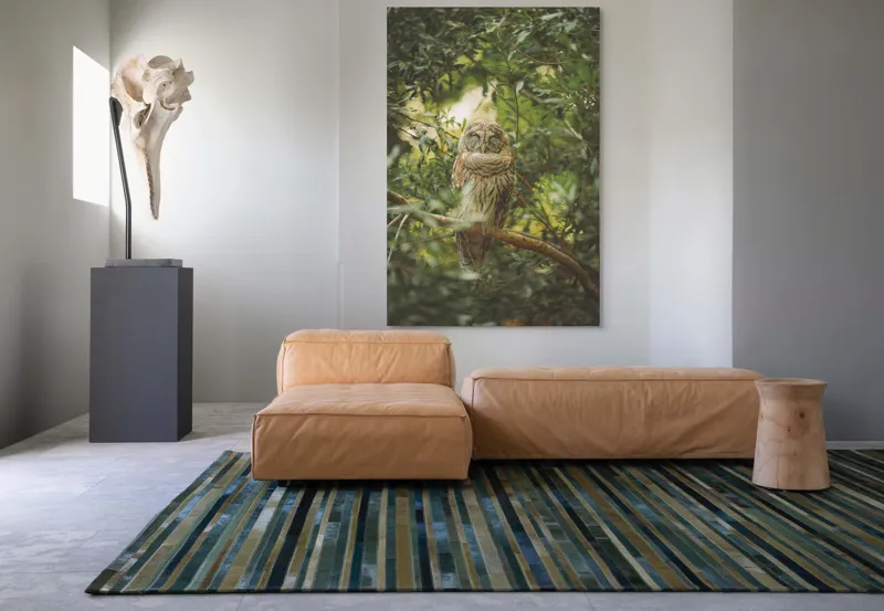 Tablou Canvas, "Bufniță în pădurea liniștită ", Bufniță, Frunziș, Somnoroasă, Crepuscul, Liniște, Natură, Ramură, Camuflaj, Pene, 100 x 150 cm – poza 7