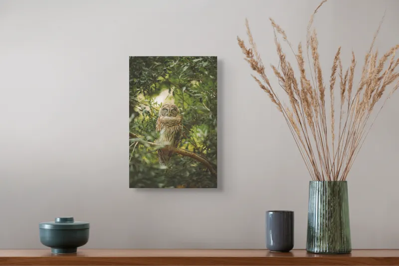Tablou Canvas, "Bufniță în pădurea liniștită ", Bufniță, Frunziș, Somnoroasă, Crepuscul, Liniște, Natură, Ramură, Camuflaj, Pene, 26 x 39 cm – poza 5