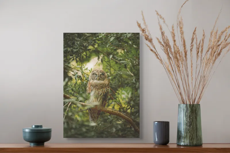 Tablou Canvas, "Bufniță în pădurea liniștită ", Bufniță, Frunziș, Somnoroasă, Crepuscul, Liniște, Natură, Ramură, Camuflaj, Pene, 39 x 54 cm – poza 3