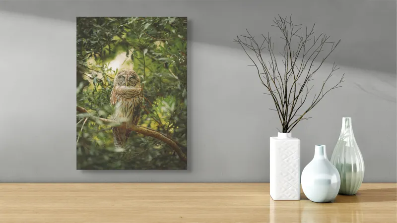 Tablou Canvas, "Bufniță în pădurea liniștită ", Bufniță, Frunziș, Somnoroasă, Crepuscul, Liniște, Natură, Ramură, Camuflaj, Pene, 39 x 54 cm – poza 4