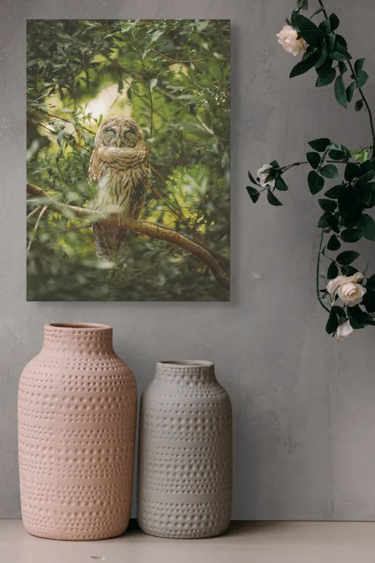 Tablou Canvas, "Bufniță în pădurea liniștită ", Bufniță, Frunziș, Somnoroasă, Crepuscul, Liniște, Natură, Ramură, Camuflaj, Pene, 39 x 54 cm – poza 6