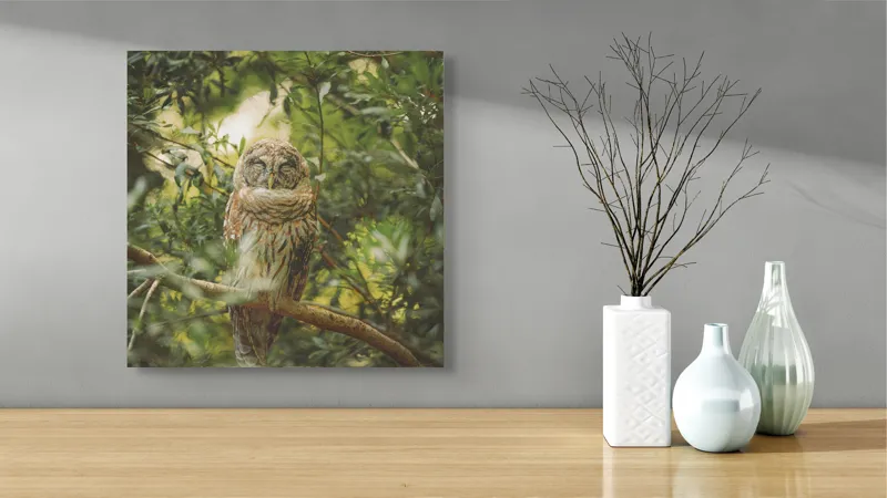 Tablou Canvas, "Bufniță în pădurea liniștită ", Bufniță, Frunziș, Somnoroasă, Crepuscul, Liniște, Natură, Ramură, Camuflaj, Pene, 50 x 50 cm – poza 3
